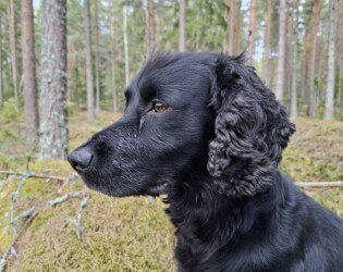 Låt ting ta tid