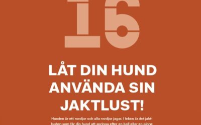 Din hund är en jägare