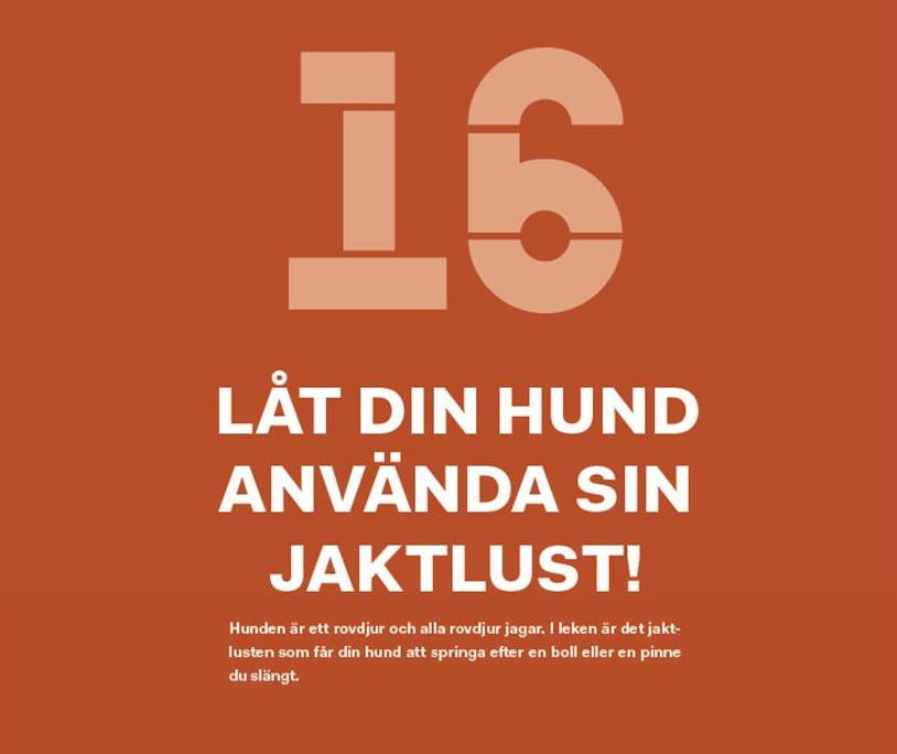 Röd-orange bild med vit text från boken över kapitel 16.