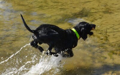 Härligt med is- och lera!