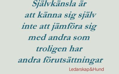 Jämförelse eller inspiration